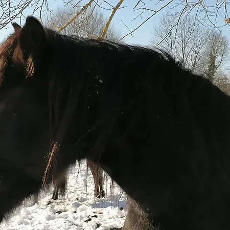 Holiday home Les Merens