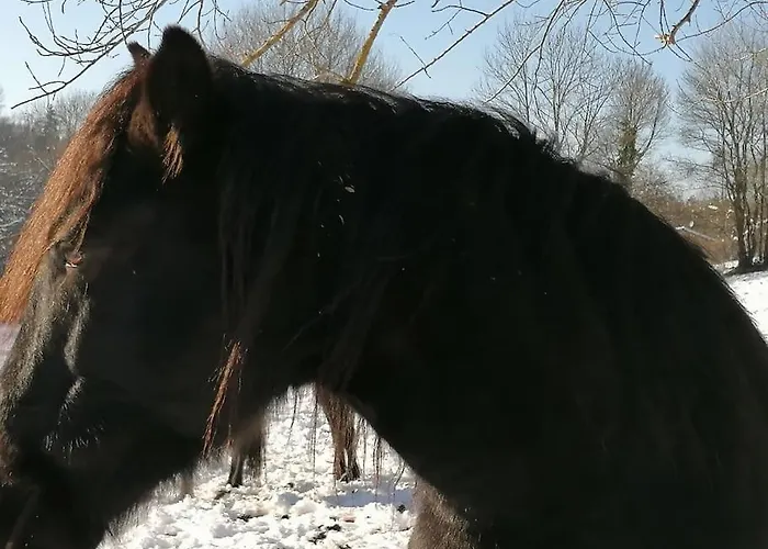 Semesterbostad Les Merens