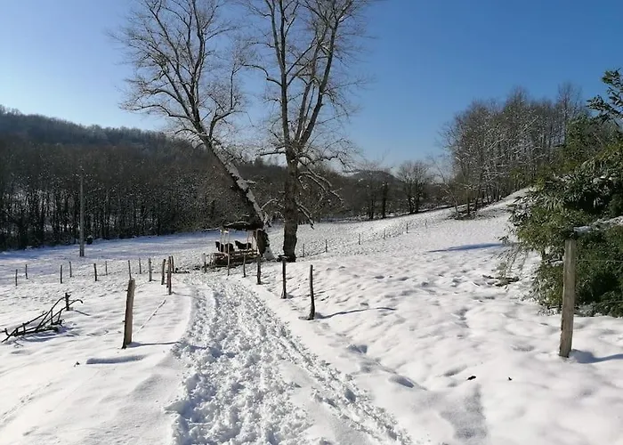 Semesterbostad Les Merens *